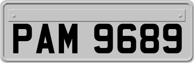 PAM9689