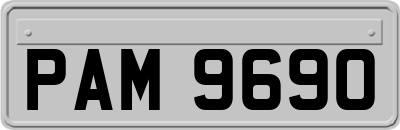 PAM9690