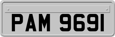 PAM9691