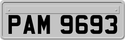 PAM9693