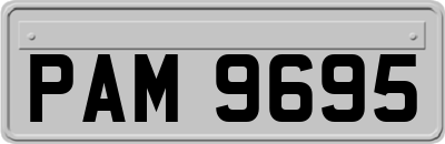 PAM9695
