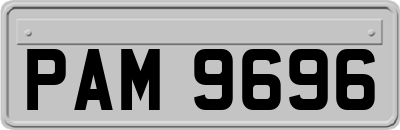 PAM9696