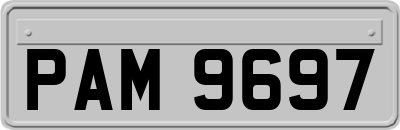 PAM9697