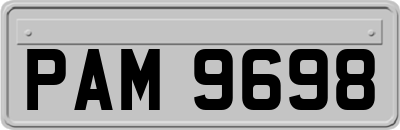 PAM9698