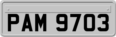 PAM9703