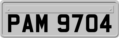 PAM9704