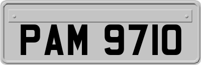 PAM9710