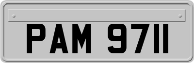 PAM9711