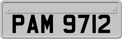 PAM9712