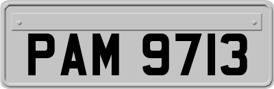 PAM9713