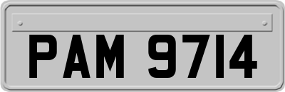 PAM9714