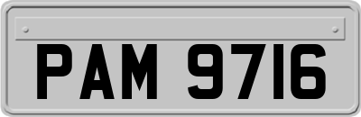 PAM9716