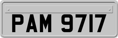 PAM9717