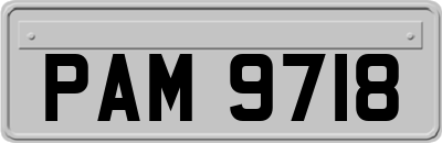 PAM9718
