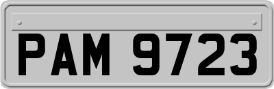 PAM9723