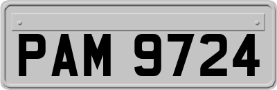 PAM9724