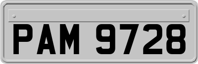 PAM9728