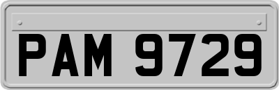 PAM9729
