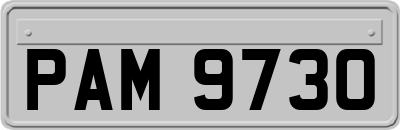PAM9730