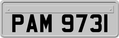 PAM9731