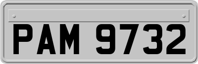 PAM9732