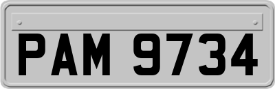 PAM9734