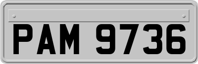 PAM9736