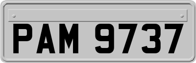 PAM9737