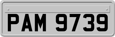 PAM9739