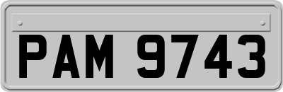 PAM9743