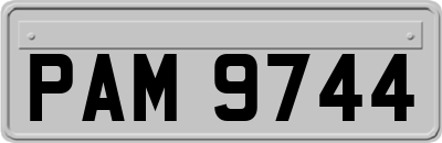 PAM9744
