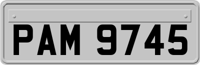 PAM9745