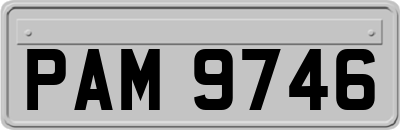 PAM9746