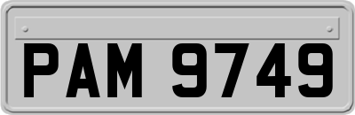 PAM9749