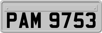 PAM9753