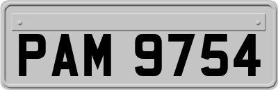 PAM9754