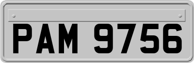 PAM9756