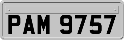 PAM9757