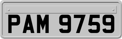 PAM9759