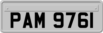 PAM9761