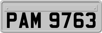PAM9763