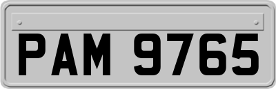 PAM9765