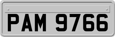 PAM9766