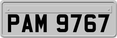 PAM9767