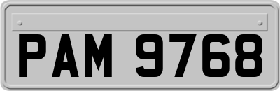 PAM9768