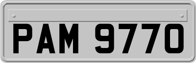 PAM9770