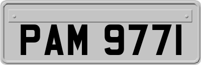 PAM9771