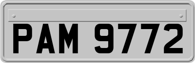 PAM9772