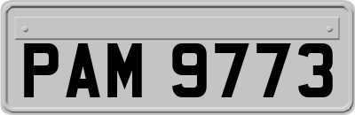 PAM9773