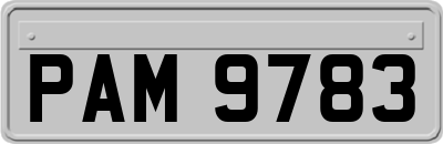 PAM9783